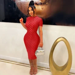 Women Mesh Round Neck Dress -Deals Toggenix Store 01bffd2052635bed