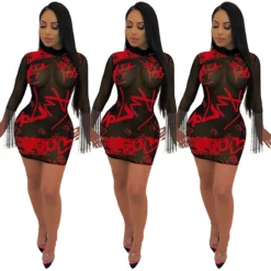 Women Sexy Mesh Tassel Dress 19 Women Sexy Mesh Tassel Dress -Deals Toggenix Store 031f00d2319d2380