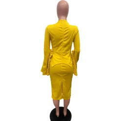 Women Solid Pleated Swing Sleeve V-Neck Dress -Deals Toggenix Store 29d68ac277f7398a