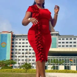 Women's Fashion Chic Elegant Ruffle Professional Ol African Bodycon Dress -Deals Toggenix Store 46c037b00d00a9dd