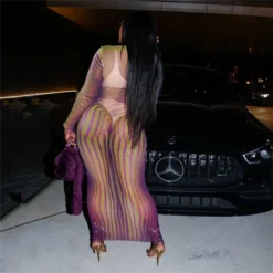 Women's Summer Round Neck Pullover Striped Mesh Print See-Through Sexy Slim Bodycon Dress -Deals Toggenix Store 505c3fca103bffb3