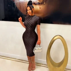 Women Mesh Round Neck Dress -Deals Toggenix Store 6cc2db691d3c256f