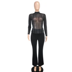 Black Transparent Mesh Long-Sleeved Top Pants Sexy Nightclub Two-Piece Set -Deals Toggenix Store 7000dfe08b0fcb56