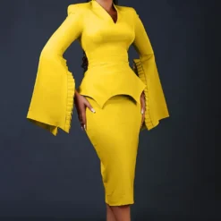 Women Solid Pleated Swing Sleeve V-Neck Dress