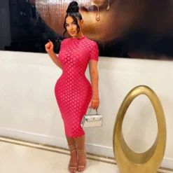 Women Mesh Round Neck Dress -Deals Toggenix Store 8a22fb9e335015fb