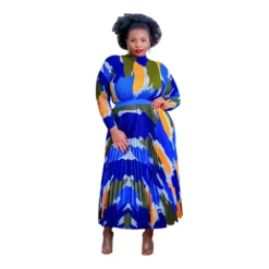 Women Printed Pleated Top And Dress Two-Piece Set -Deals Toggenix Store 8bb2a0f493e4267b