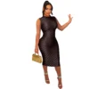 Women Mesh Round Neck Dress