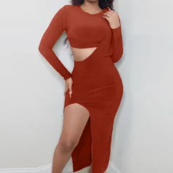 Women Solid Top And Dress Two-piece Set -Deals Toggenix Store a6ec45b0216a2fd5