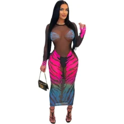 Women Casual Tiger Print Mesh Dress