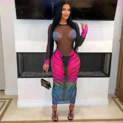 Women's Clothing Fashion Casual Tiger Print Mesh Dress -Deals Toggenix Store b712b90ab9036358