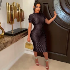 Women Mesh Round Neck Dress -Deals Toggenix Store b7d06a3bcc168481