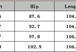 Chic Patchwork Round Neck Midi Colorblock Button Slit Bodycon Career Dress -Deals Toggenix Store c81e07f6d308fcbd